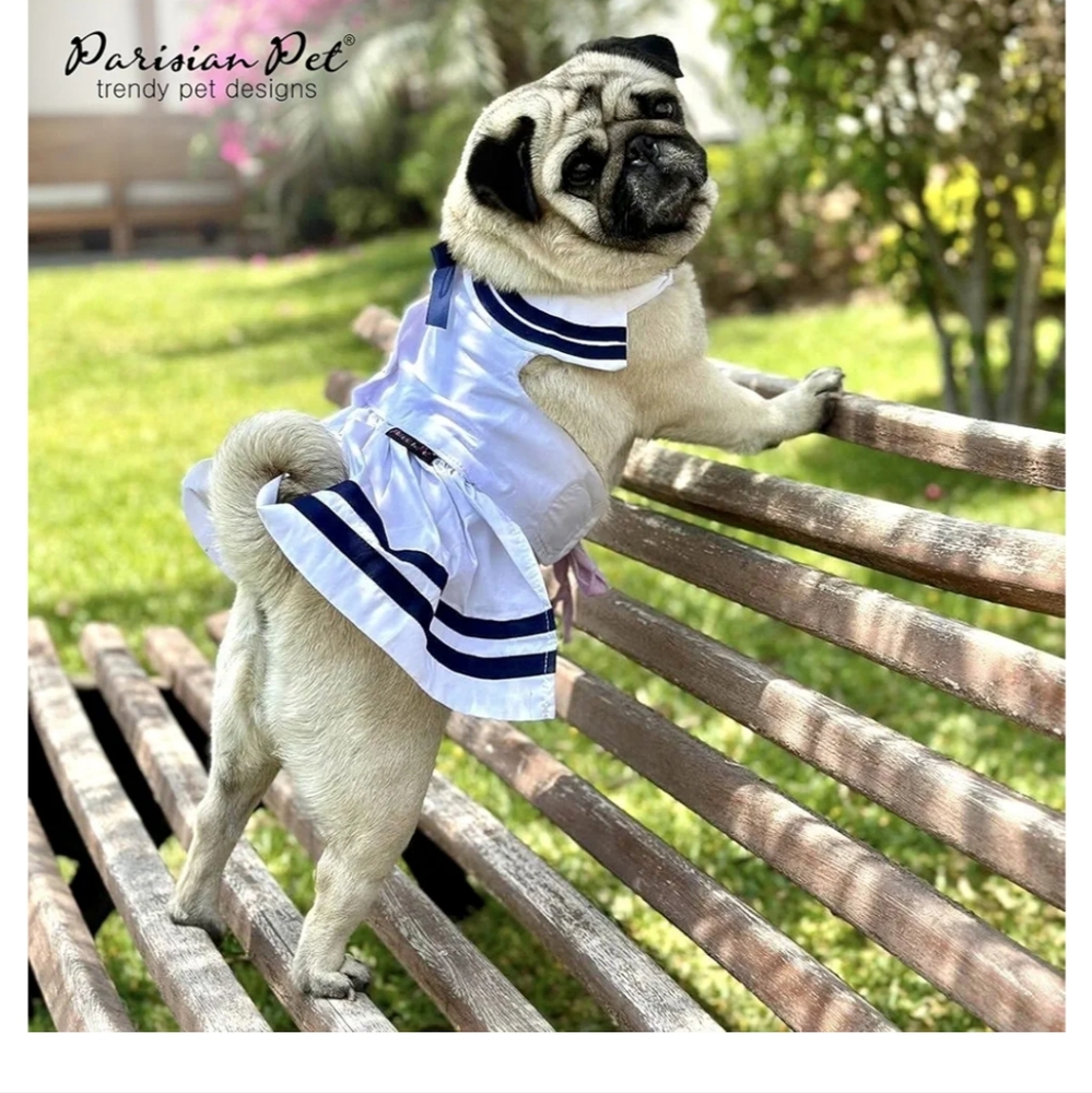 Parisian pet sailor dog dress. White blue gold medium or large.  New - Picture 9 of 12